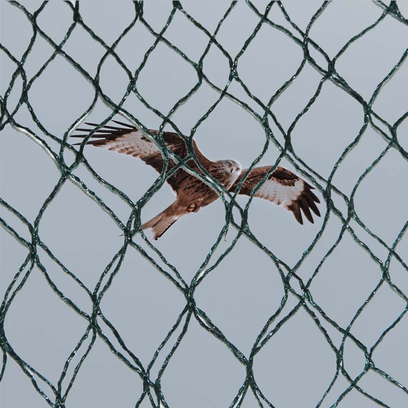 Quşların qarşısının alınması üçün torların material seçimləri və üstünlükləri və çatışmazlıqları hansılardır?