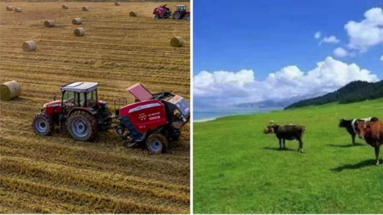 Kənd təsərrüfatı fəaliyyətlərində balya torunun tətbiqi