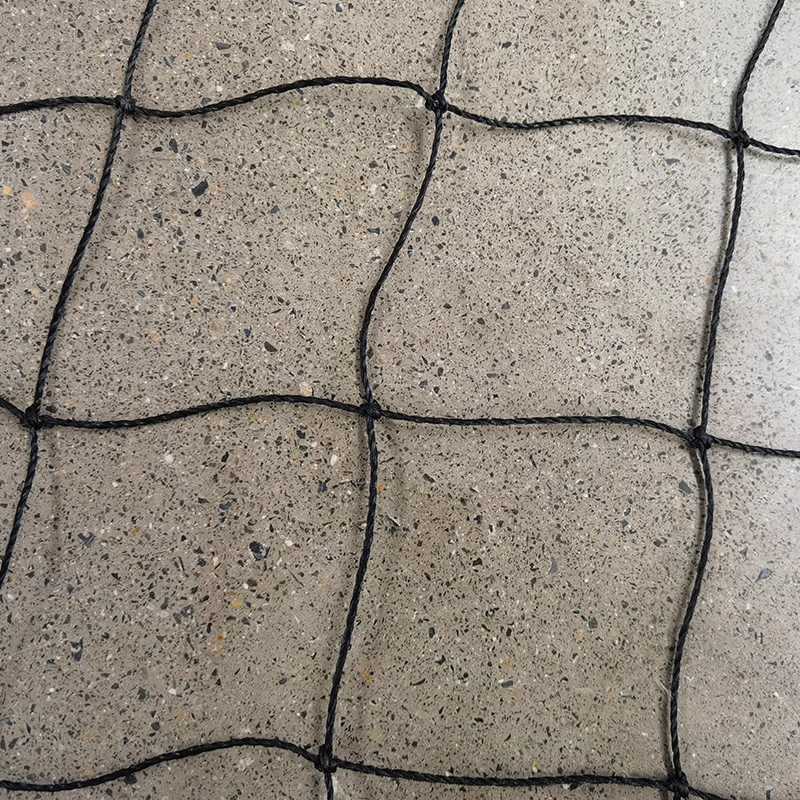 Kriket torlarının rolu