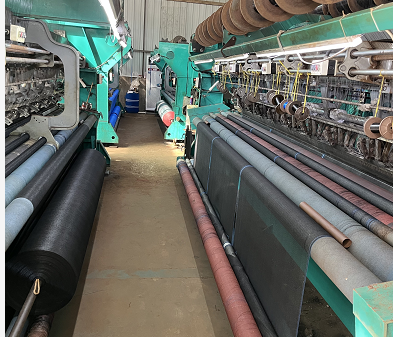 Yantai Double Bird Anti-Net və Shade Net peşəkar istehsalını nümayiş etdirir
