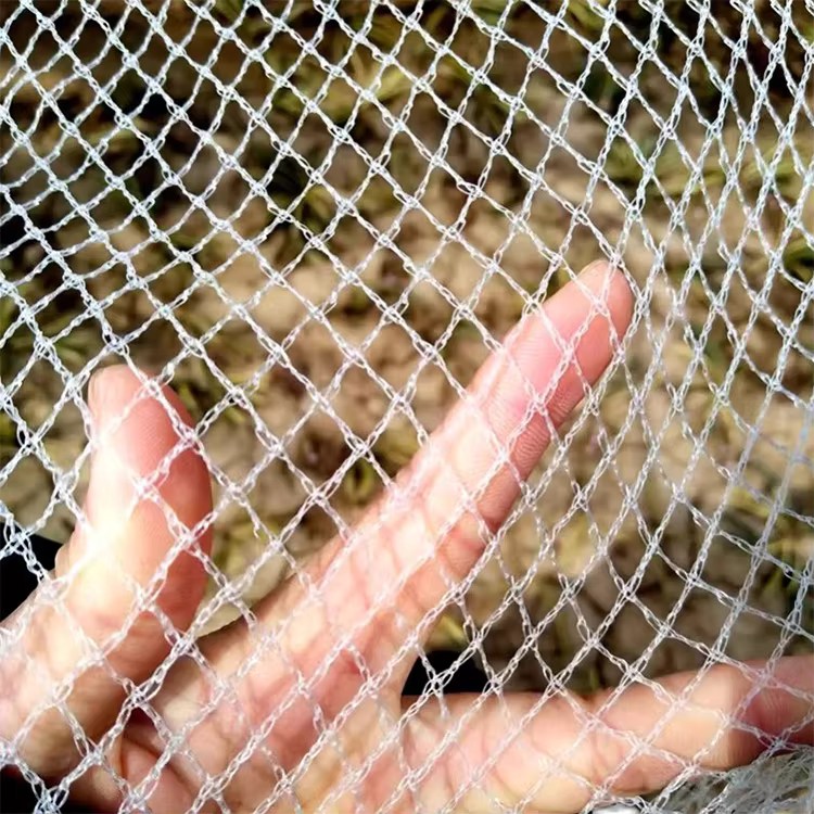 Kənd Təsərrüfatı üçün Xüsusi Kesimli Plastik Mesh ilə Dolu Əleyhinə Polietilen Quş Mühafizəsi Toru Kənd Təsərrüfatı üçün Xüsusi Kesimli Plastik Mesh ilə Dolu Əleyhinə Polietilen Quş Mühafizəsi Toru