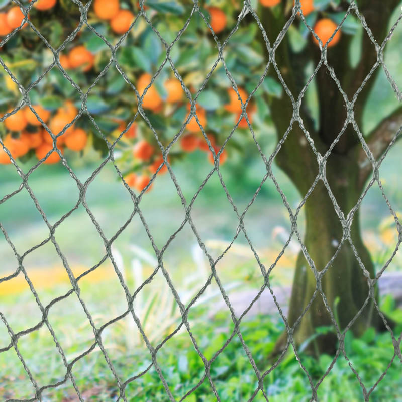 Quş torları Heyvan Baryerləri