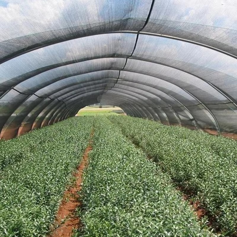 Bitkilər üçün bağ kölgəsi parça 40% günəş işığı bloklanır